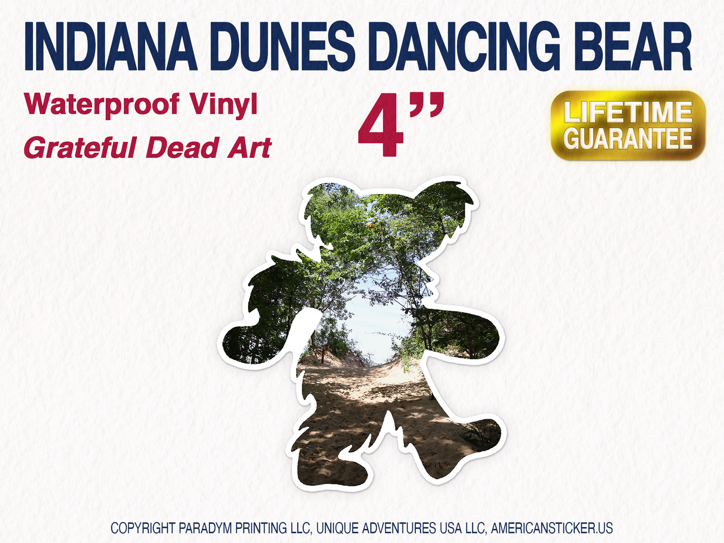 Grateful Dead Decal Dancing Bear Indiana Dunes National Park