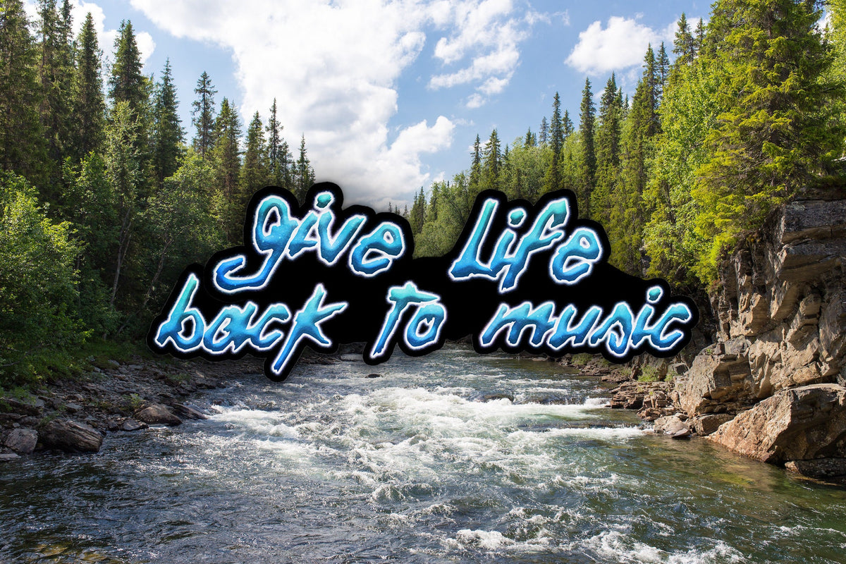 Give Life Back To Music Waterproof Vinyl Sticker Decal Daft Punk Lyric Art
