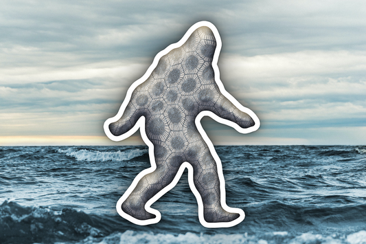 Bigfoot Petoskey Waterproof Vinyl Sticker Decal Bob Dylan Lyric Art