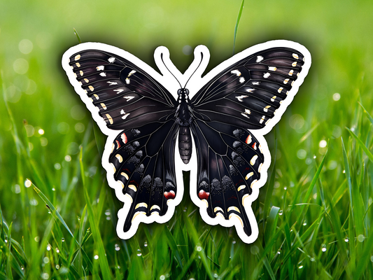 Black Swallowtail Butterfly Waterproof Vinyl Sticker Decal Art