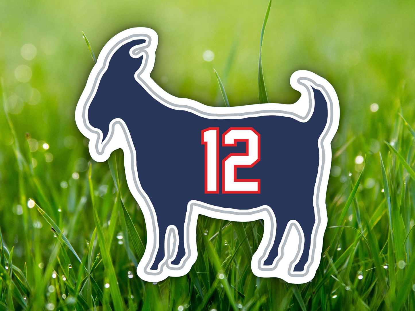 Tom Brady Goat 12 Patriots Buccaneers Waterproof Vinyl Sticker Decal Art