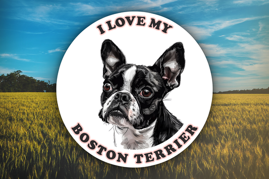 I Love My Boston Terrier Sticker Decal Waterproof Vinyl Art