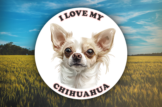 I Love My Chihuahua Sticker Decal Waterproof Vinyl Art