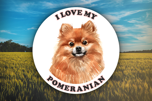 I Love My Pomeranian Dog Sticker Decal Waterproof Vinyl Art