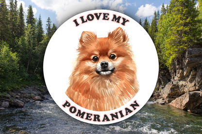 I Love My Pomeranian Dog Sticker Decal Waterproof Vinyl Art