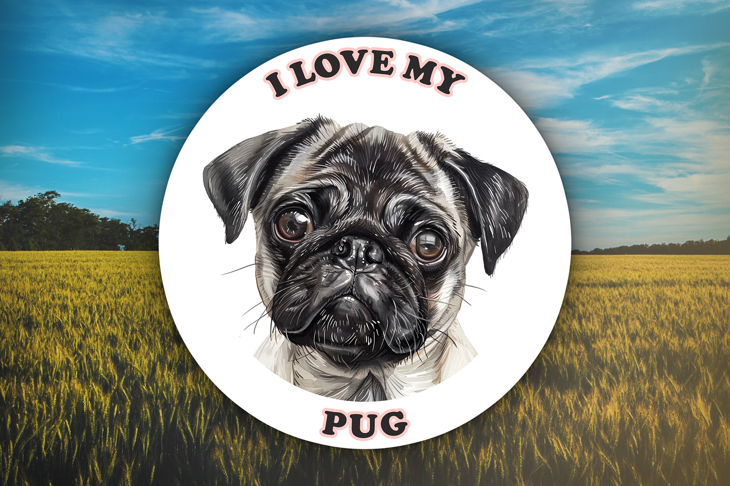 I Love My Pug Sticker Decal is 100% waterproof vinyl that works great water bottles, laptops, cars, trucks, phones, lockers, Ipads, or just about anywhere!