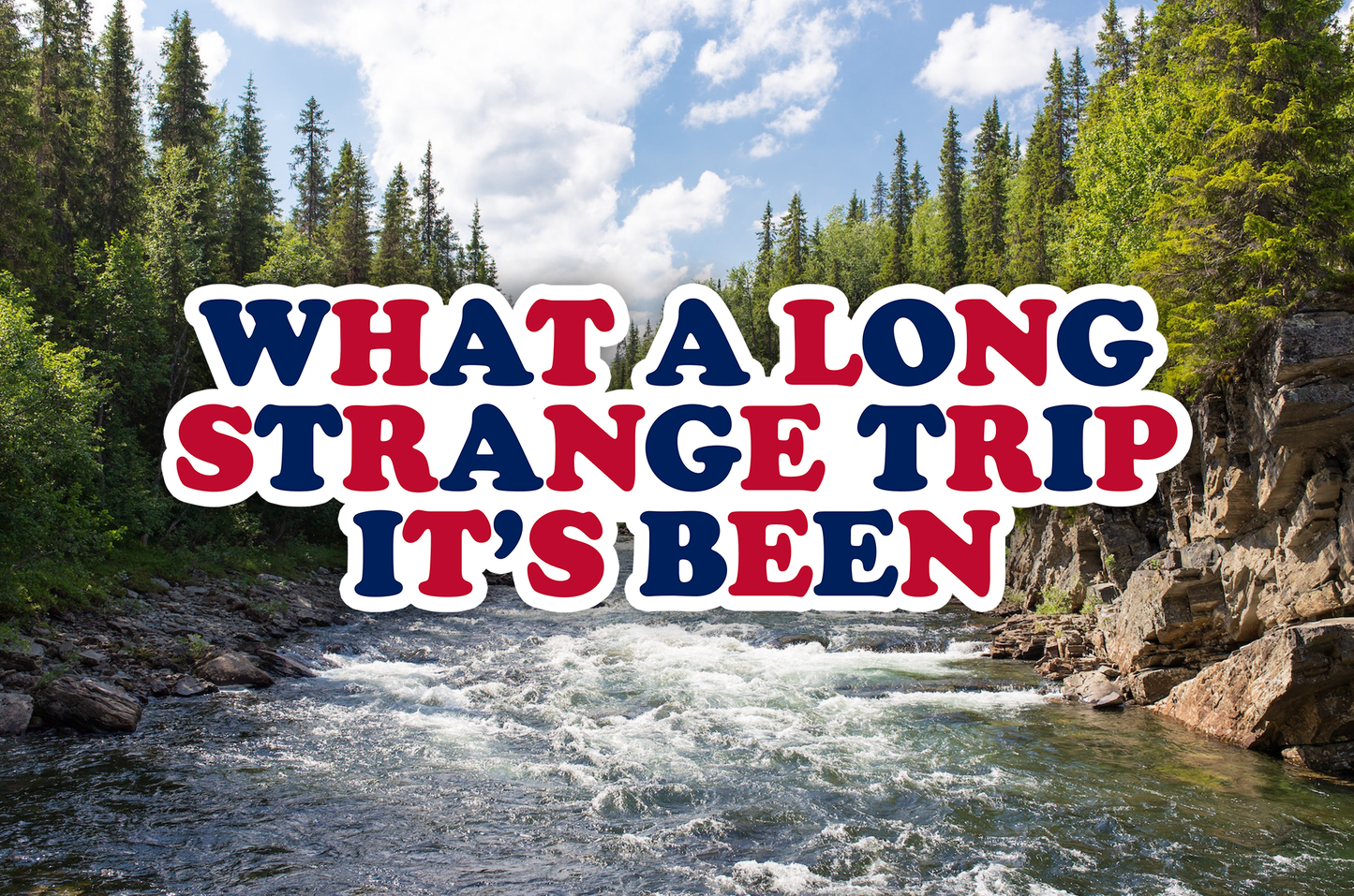 What a Long Strange Trip 250