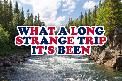 What a Long Strange Trip 250