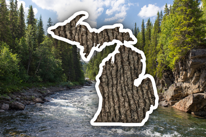 Michigan Tree Bark Waterproof Vinyl Car Sticker Decal Art