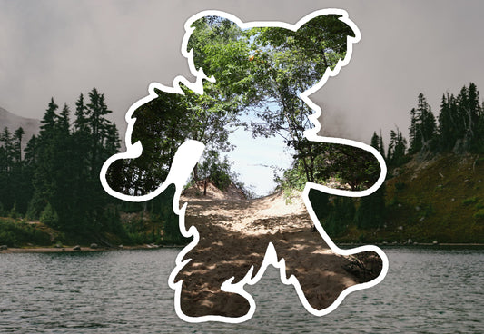 Grateful Dead Decal Dancing Bear Indiana Dunes National Park