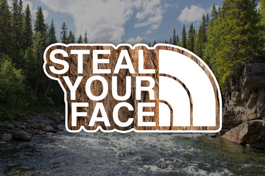 Steal Your Face Waterproof Vinyl Sticker Decal Grateful Dead Lyric Art