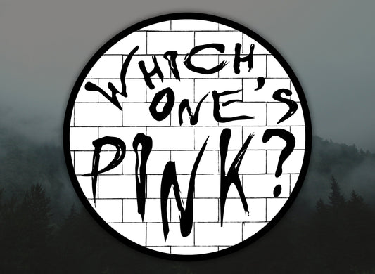 Pink Floyd Which One's Pink? Waterproof Vinyl Sticker Decal Lyric Art