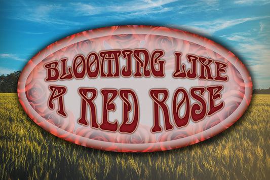 Blooming Like A Red Rose Sunshine Daydream Waterproof Vinyl Sticker Decal Grateful Dead Lyric Art