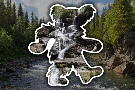 Grateful Dead Dancing Bear Great Smokey Mountains National Park