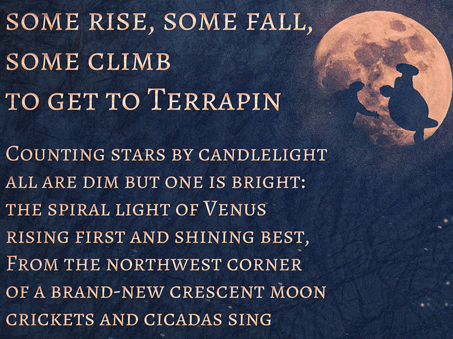 Terrapin Station Terrapin Station Medley Poster Grateful Dead Lyric Art